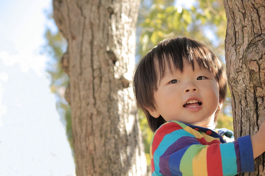 ３歳までの子どもの視力